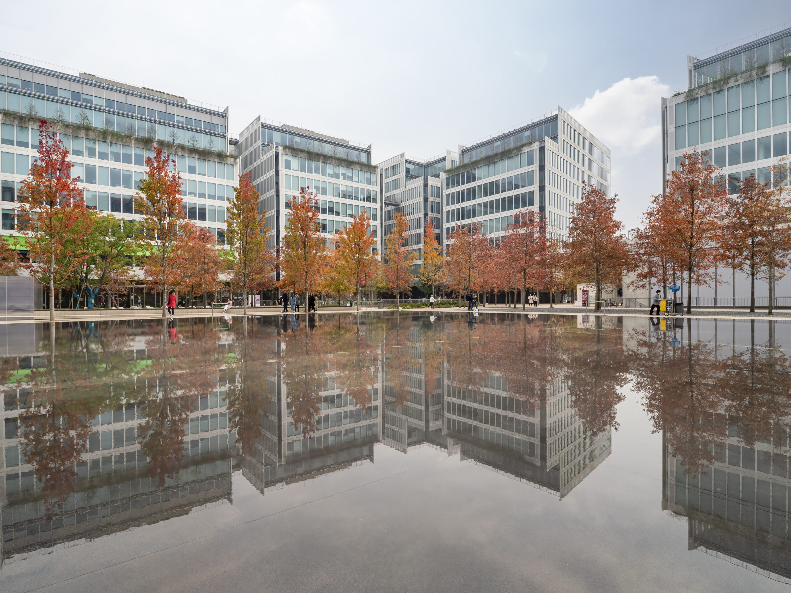China's Hangzhou business district of modern building and park in the planting of red maple in reflection pool reflection
